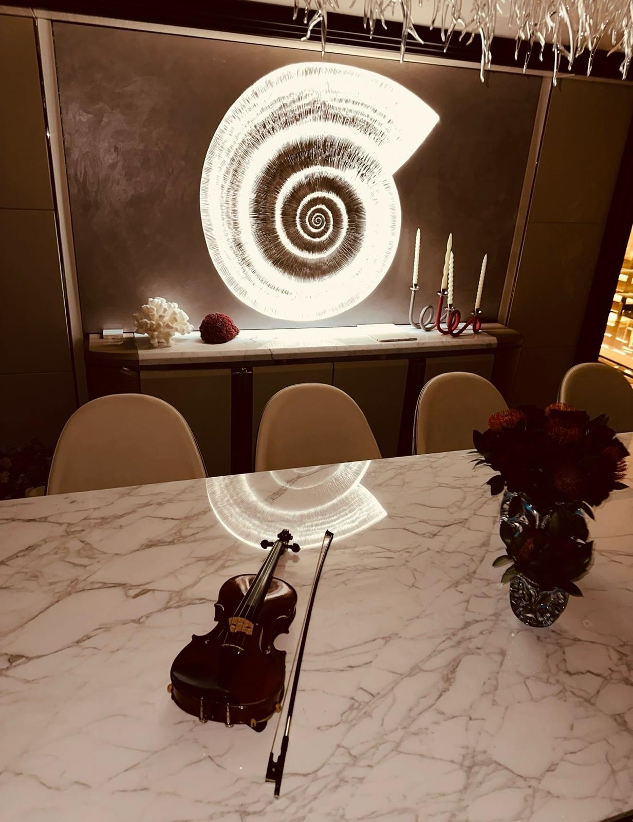 Unique violin-dance fusion performance